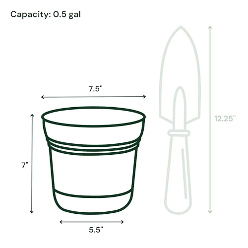 Bloem Saturn 7" Mango Planter Pot with Saucer - Image 2