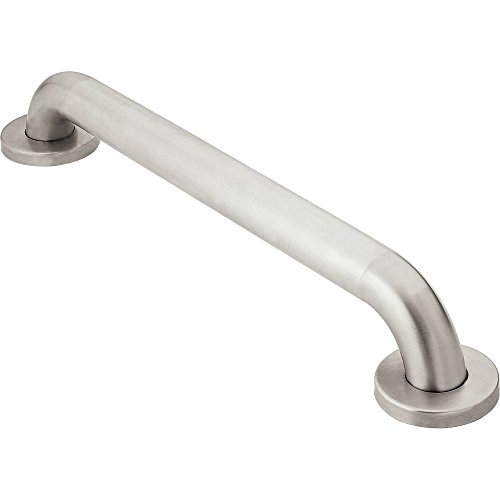 Moen 24" Stainless Steel Grab Bar for Safety
