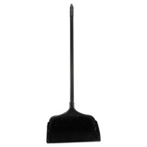 Rubbermaid Dustpan with Long Handle, 12.5"