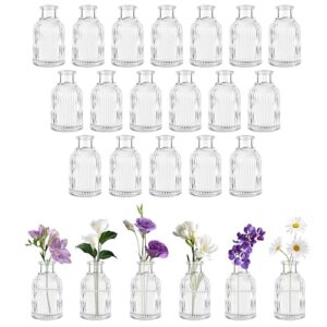 Set of 24 Mini Ribbed Glass Vases
