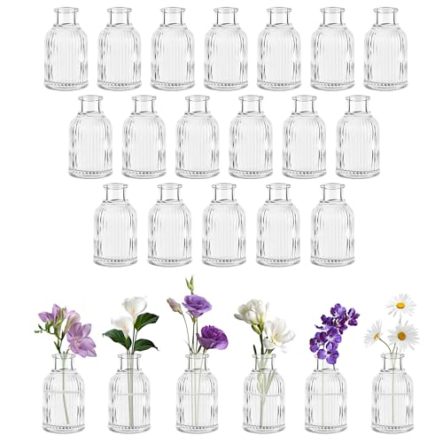 Set of 24 Mini Ribbed Glass Vases