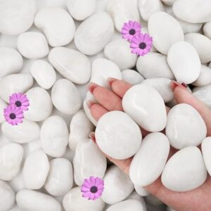 NUPICK 16lb White River Rocks for Landscaping
