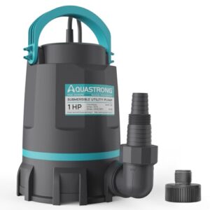 Aquastrong 1 HP Submersible Water Pump
