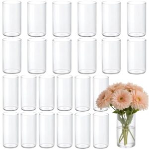 24 Pcs 6 Inch Glass Cylinder Vases