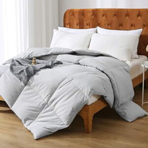 Oaken-Cat Gray Feathers Down Comforter Twin