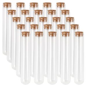 25pcs 50ml Glass Test Tubes with Corks