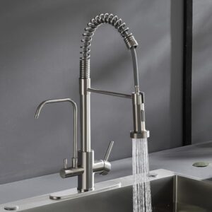 ROVATE 3-in-1 Brushed Nickel Kitchen Faucet