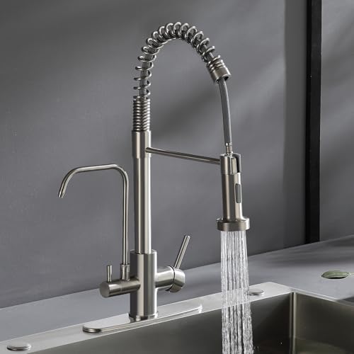 ROVATE 3-in-1 Brushed Nickel Kitchen Faucet