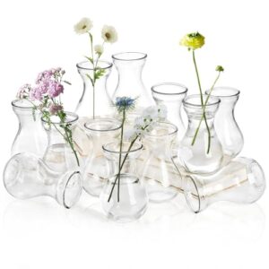 ZOOFOX 12 Small Glass Bud Vases