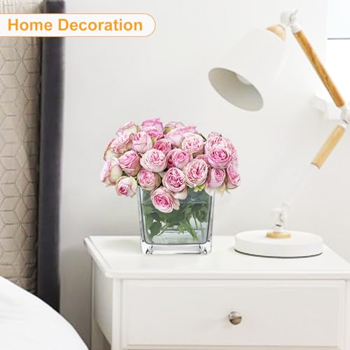 Set of 4 Clear Square Glass Vases - Image 4