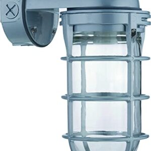 Lithonia Jelly Jar Wall Light 150W Grey