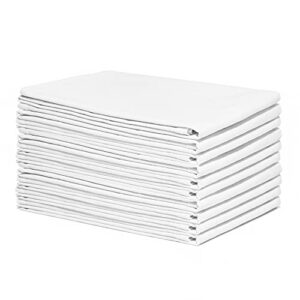 Organic Cotton White Dish Towels - 10 Pack