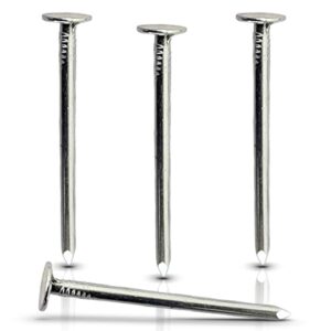2-Inch Galvanized Roofing Nails - Professional Grade