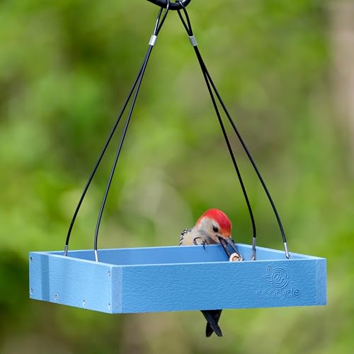 EcoCycle Bird Feeder with Seed Tray - Image 2