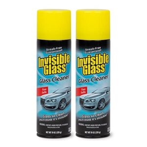 Invisible Glass Cleaner 19 oz, Streak-Free