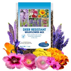 Deer Resistant Wildflower Seed Mix - 1oz