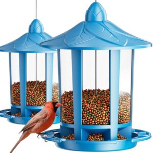 Birdream 2 Pack Bird Feeders for Outdoors