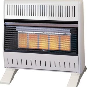 ProCom 30,000 BTU Infrared Heater with Thermostat