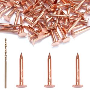 GOORY 120Pcs Copper Nails 1 Inch