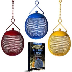 3 Squirrel Proof Bird Feeders with Bonus Ebook