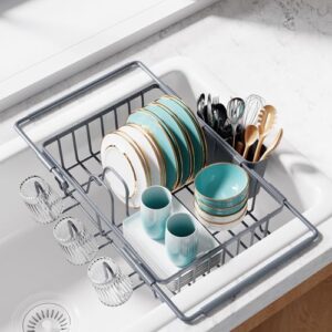 Sakugi Expandable Sink Dish Drying Rack