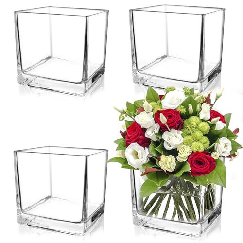 Set of 4 Clear Square Glass Vases
