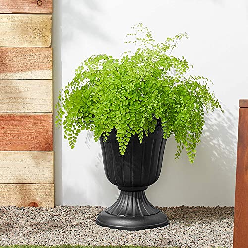 Arcadia Classic Plastic Urn Planter, Black - Image 2