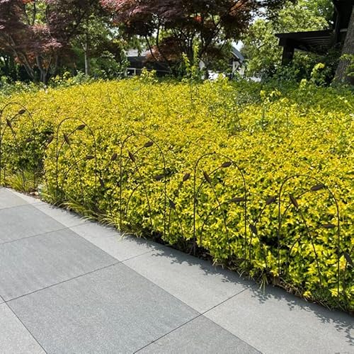 Thealyn Iron Fencing for Flower Bed, 32" x 16' - Image 6