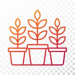 Plant Containers