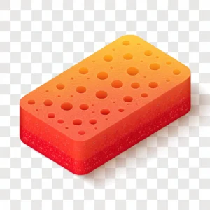 Sponges